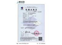熱式氣體質(zhì)量流量計(jì)防爆證